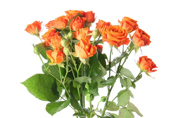 Bouquet Beautiful Orange Roses White Background — Stock Photo, Image