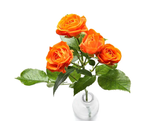 Florero Con Hermosas Rosas Naranjas Sobre Fondo Blanco —  Fotos de Stock