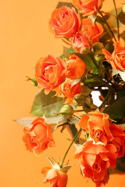 Kytice Krásné Oranžové Růže Barevném Pozadí — Stock fotografie