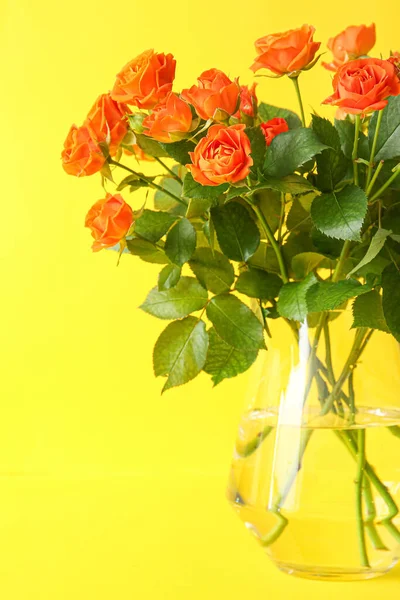 Vase Beautiful Orange Roses Yellow Background — стоковое фото