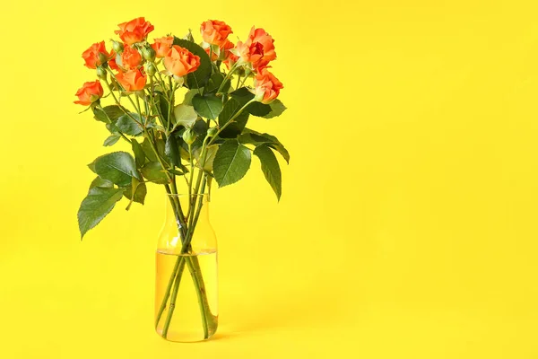 Vase Beautiful Orange Roses Yellow Background — стоковое фото