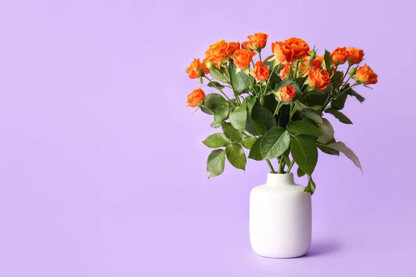 Vase Beautiful Orange Roses Purple Background — 图库照片