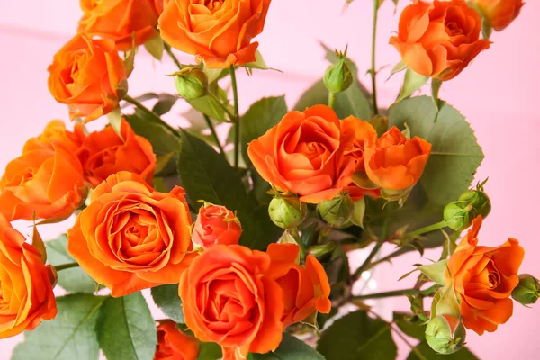 Bouquet Beautiful Orange Roses Pink Background — Stock Photo, Image