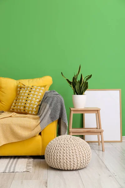 Cozy Sofa Pouf Step Stool Houseplant Frame Green Wall — Stock Photo, Image