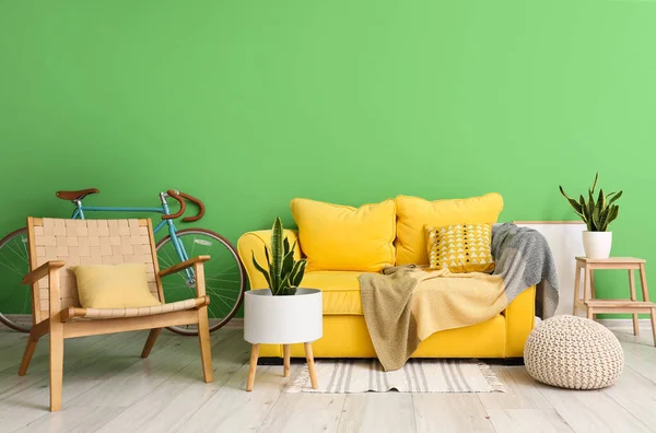 Interior Stylish Living Room Bicycle Sofa Armchair Green Wall — стоковое фото