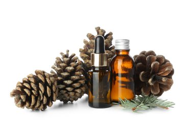 Beyaz arka planda izole edilmiş bir kozalak.