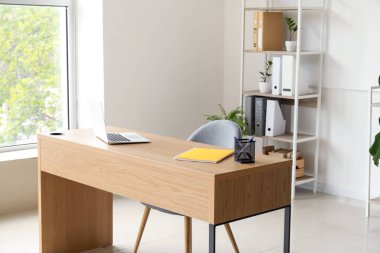Modern işyeri, raf ünitesi ve ev bitkilerine sahip ofis içi