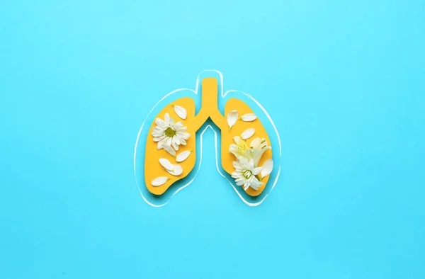 Paper Lungs Fresh Flowers Blue Background — Stock Photo, Image