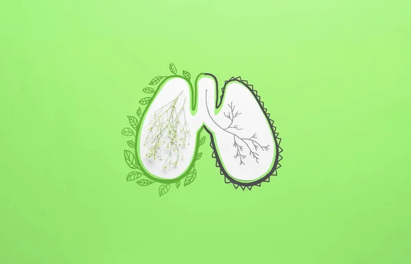 Pulmones Humanos Con Flores Frescas Ramas Dibujadas Sobre Fondo Verde — Foto de Stock