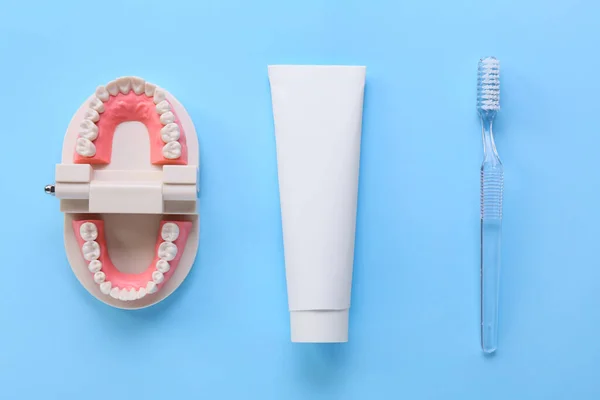 Tube Avec Pâte Dentaire Brosse Modèle Mâchoire Sur Fond Bleu — Photo