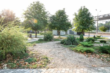 Şehir parkının güzel manzara tasarımı