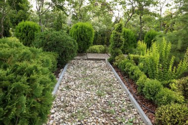 Güzel yeşil park sokakta