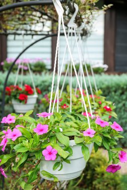 Yeşil parkta çiçekli tencere.