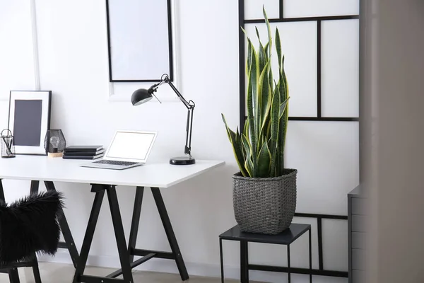 Stylish Home Workplace Laptop Desk Houseplant — стоковое фото