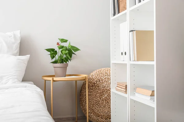 Modern Yatak Odasında Şık Bir Kitaplık — Stok fotoğraf