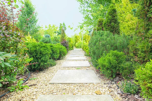 Alley Beautiful Green Park — Stock Photo, Image