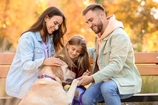 公園のベンチに座って面白いラブラドール犬と幸せな家族 — ストック写真