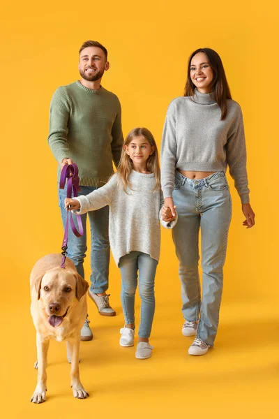 stock image Happy parents with little daughter and cute Labrador dog on yellow background