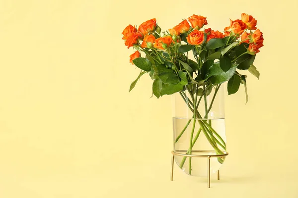 Florero Con Hermosas Rosas Naranjas Sobre Fondo Amarillo — Foto de Stock