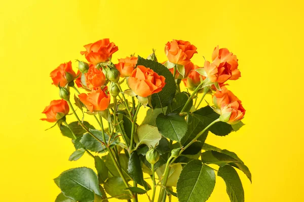 Bouquet Beautiful Orange Roses Yellow Background — Stock Photo, Image