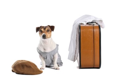 Bavullu ve beyaz arka planda giysileri olan bir iş köpeği.