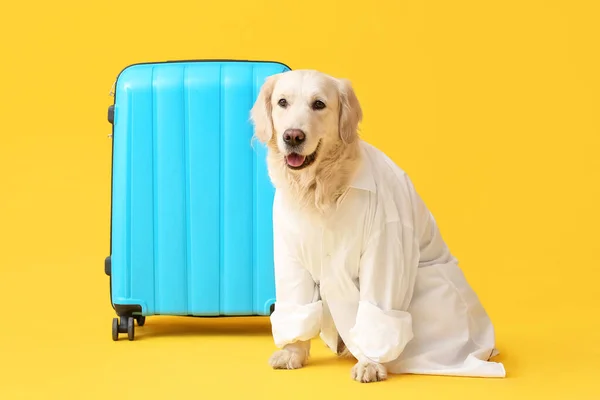 Zakelijke Hond Met Koffer Kleur Achtergrond — Stockfoto