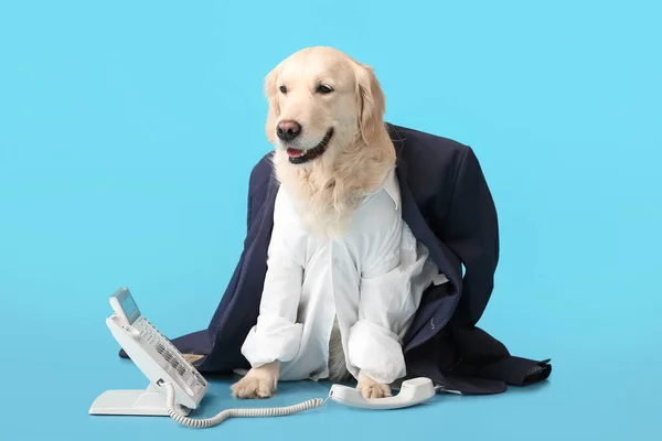 Business Dog Telephone Color Background — стоковое фото