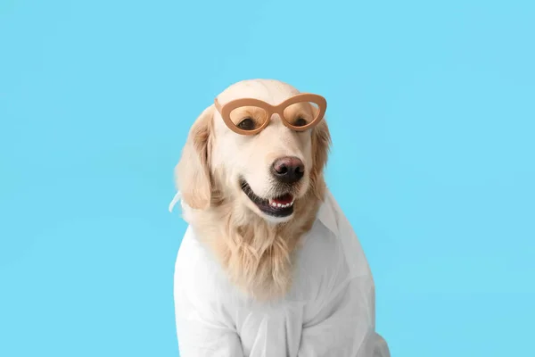 Perro Negocios Con Gafas Sol Sobre Fondo Color —  Fotos de Stock