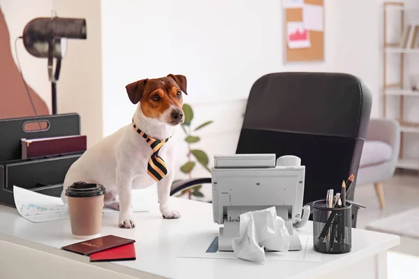 Cute Business Dog Working Office — Stock Fotó