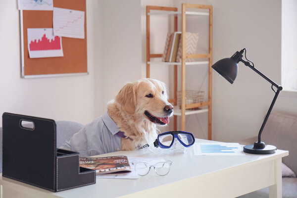 Cute business dog with snorkeling mask at workplace in office