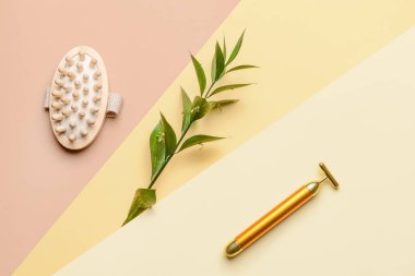 Renkli fırçalı yüz masajı silindiri