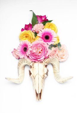 Beyaz arka planda çiçekli koyun kafatası