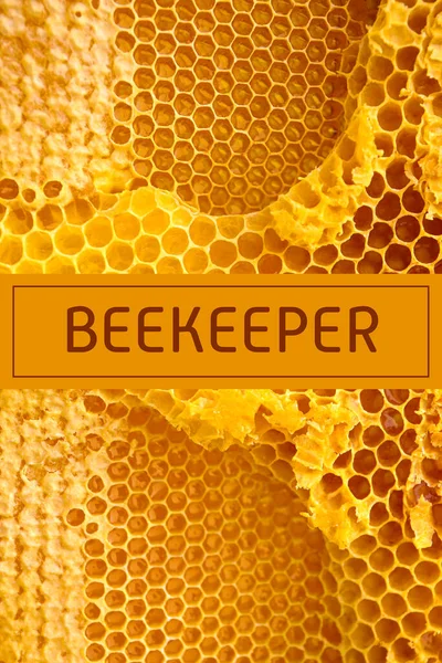 Word Beekeeper Honey Combs — Stock Photo, Image