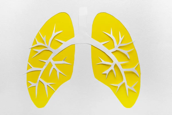 Φύλλο Χαρτιού Κομμένα Ανθρώπινα Πνευμόνια Στο Φόντο Χρώμα — Φωτογραφία Αρχείου