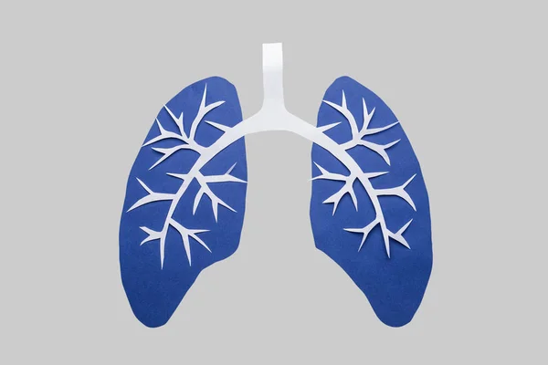 Paper Human Lungs Grey Background — Zdjęcie stockowe