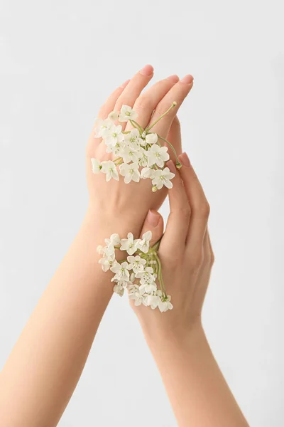 Female Hands Fresh Flowers Light Background — Foto de Stock
