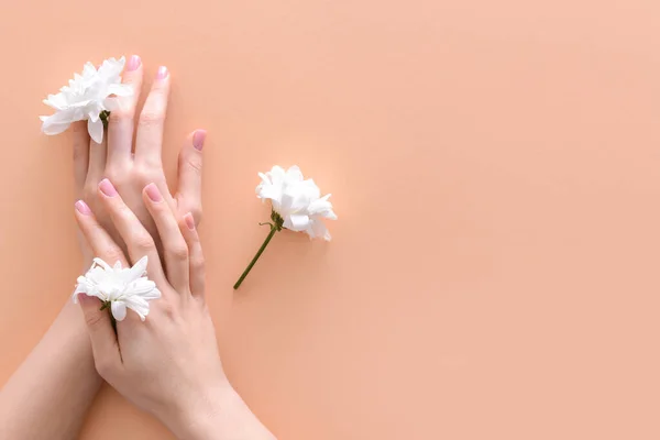 Female Hands Fresh Flowers Color Background — Stock Photo, Image