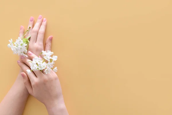 Female Hands Fresh Flowers Color Background — Stock Photo, Image