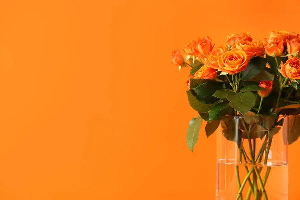 Βάζο Όμορφα Πορτοκαλί Τριαντάφυλλα Στο Φόντο Χρώμα — Φωτογραφία Αρχείου