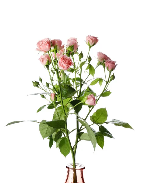 Vase Bouquet Beautiful Roses White Background — Stock Photo, Image