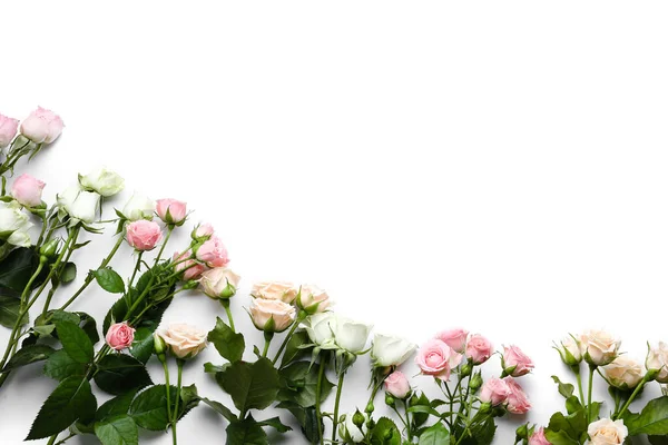 Diferentes Rosas Hermosas Sobre Fondo Blanco — Foto de Stock