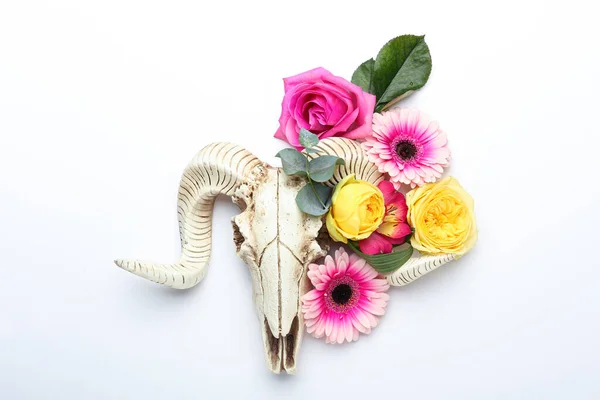 Lebka Ovcí Květinami Bílém Pozadí — Stock fotografie