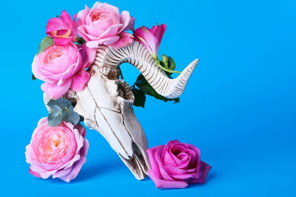 Crânio Ovelhas Com Flores Fundo Cor — Fotografia de Stock