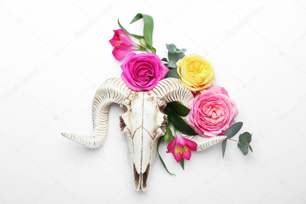 Skull of sheep with flowers on white background