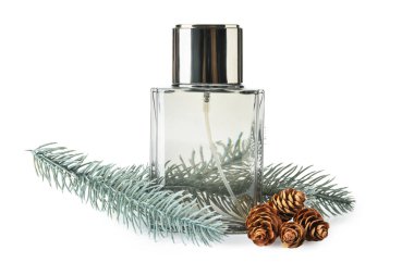 Bottle of perfume, fir branch and cones on white background