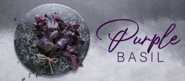 Taze fesleğen ve grunge arkaplanda biberli pano.