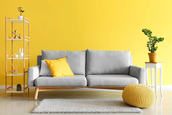 Interior Stylish Living Room Grey Sofa Houseplant — Zdjęcie stockowe