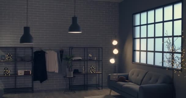 Interieur Des Zimmers Mit Sofa Regaleinheiten Und Moderner Kleidung — Stockvideo