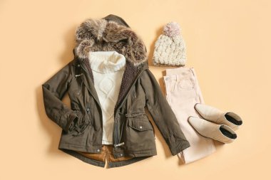 Ceket, süveter, şapka, pantolon ve ayakkabıların renkleri