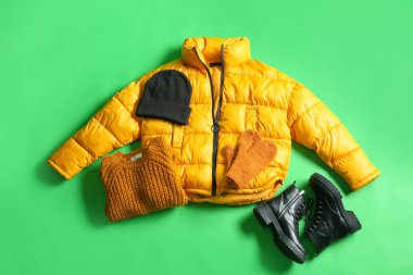 Kadın ceketi, şapka, kazak, eldivenler ve yeşil arka planda ayakkabılar.